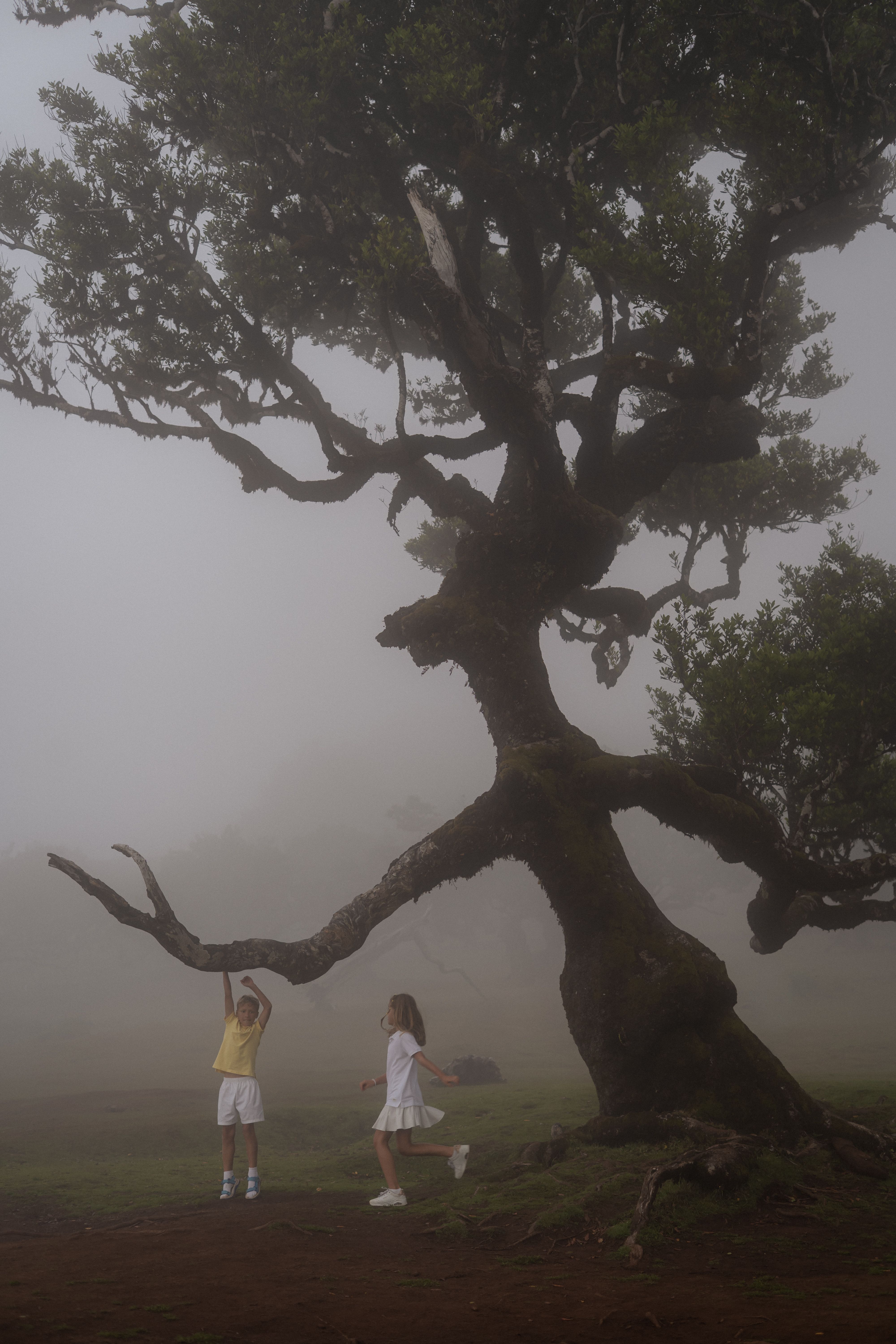 Zwei Kinder spielen im Nebel unter einem großen Baum